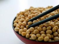Alimentatia pe baza de soia reduce riscul de a face cancer la san Alimentatia pe baza de soia reduce riscul de a face cancer la san